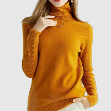 Loose turtleneck autumn sweater for women