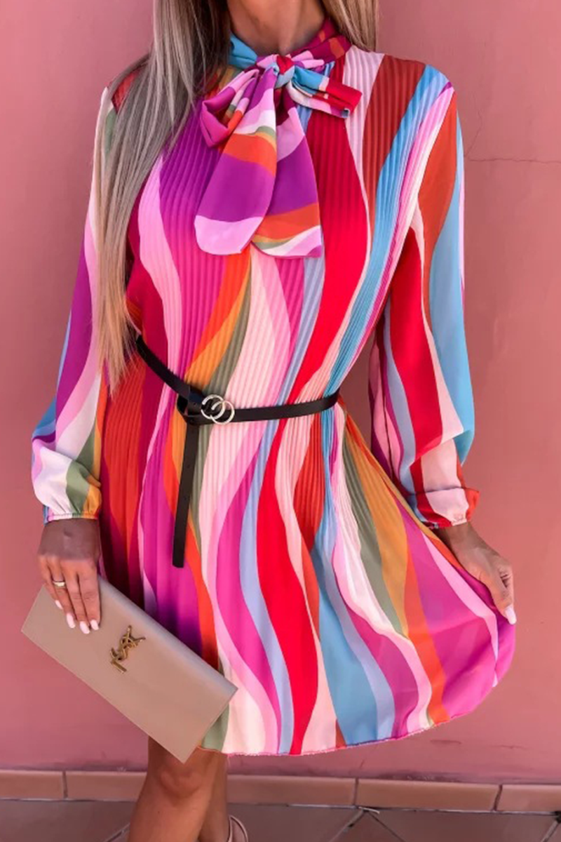 Charlotte - colorful elegant pleated dress