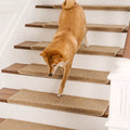 Minimalist Faux Sisal Stair Tread Mat