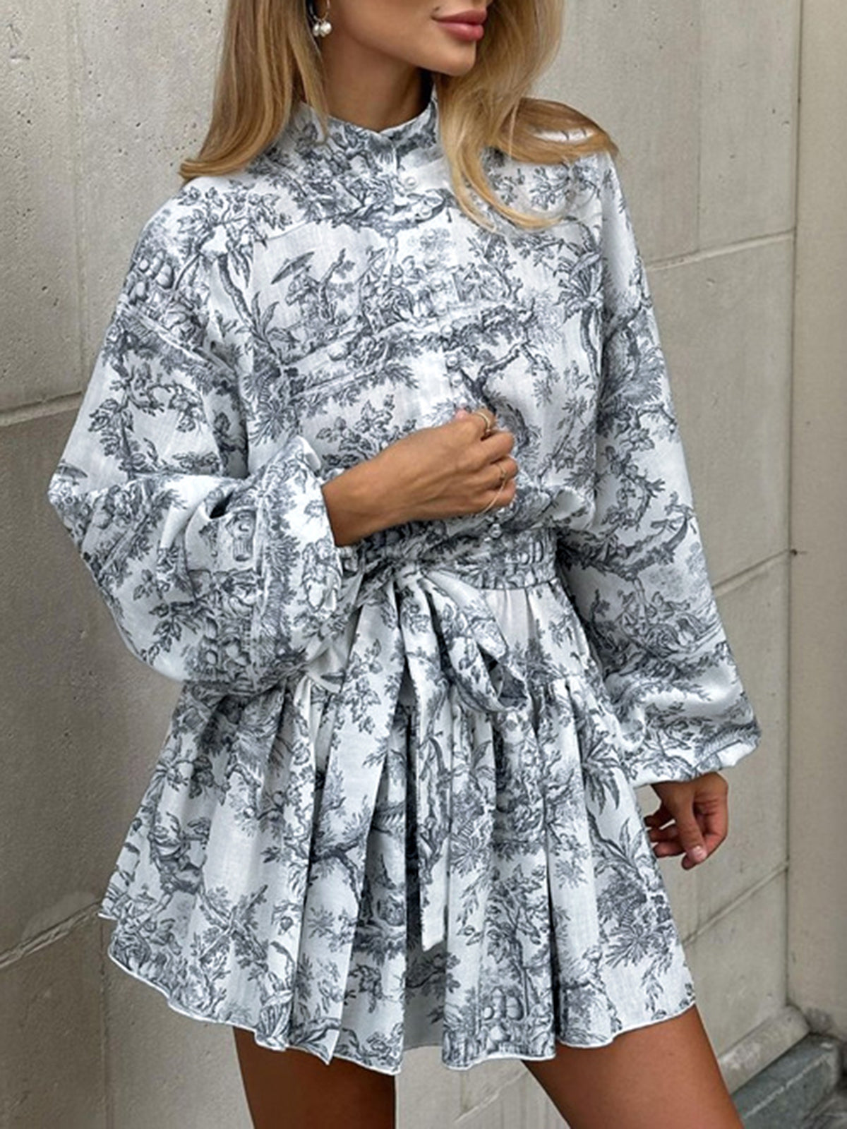 Women's A-Line Dress - Toile de Jouy Print - Fit-and-Flare - Long Sleeve High Collar