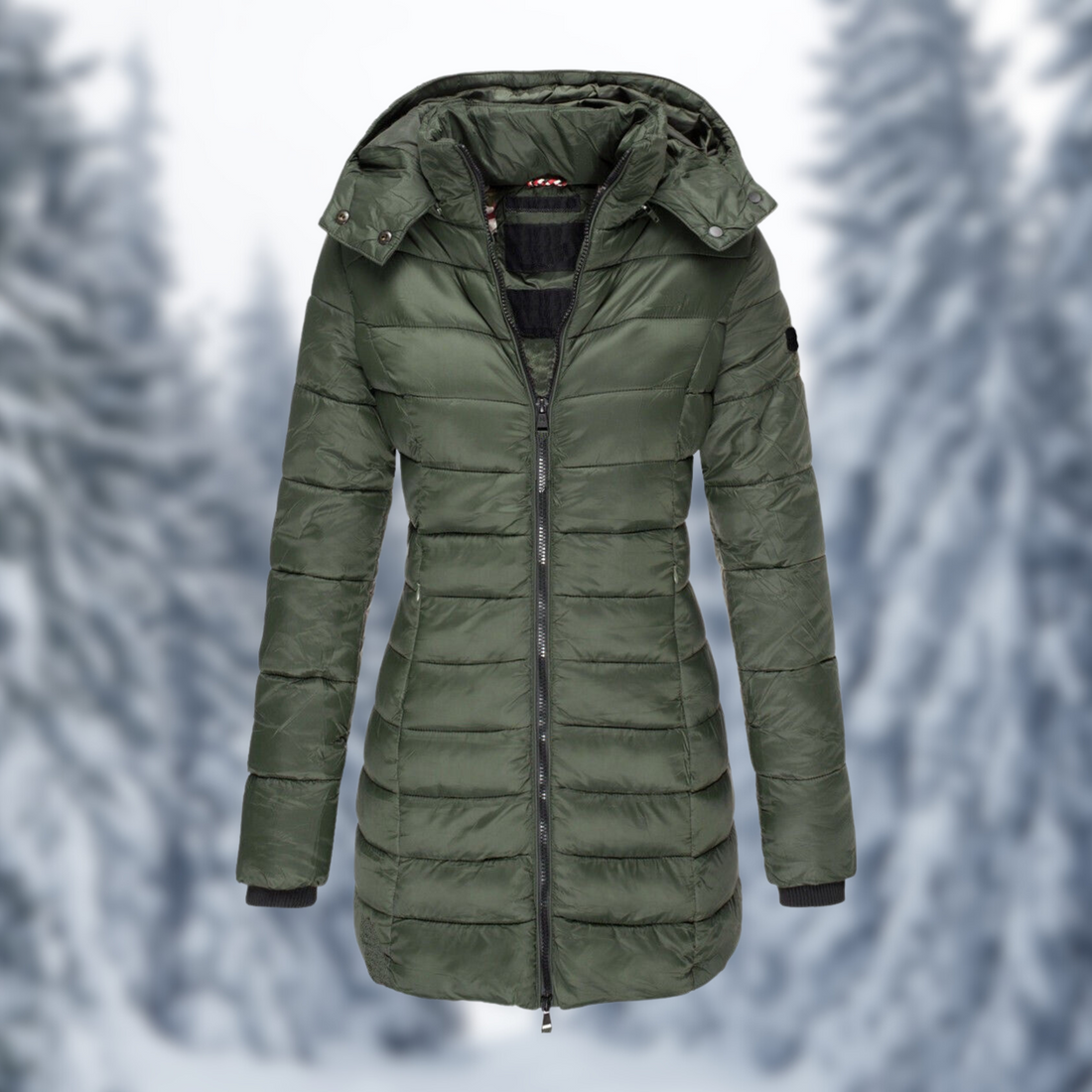 Women's winter coat with detachable hood