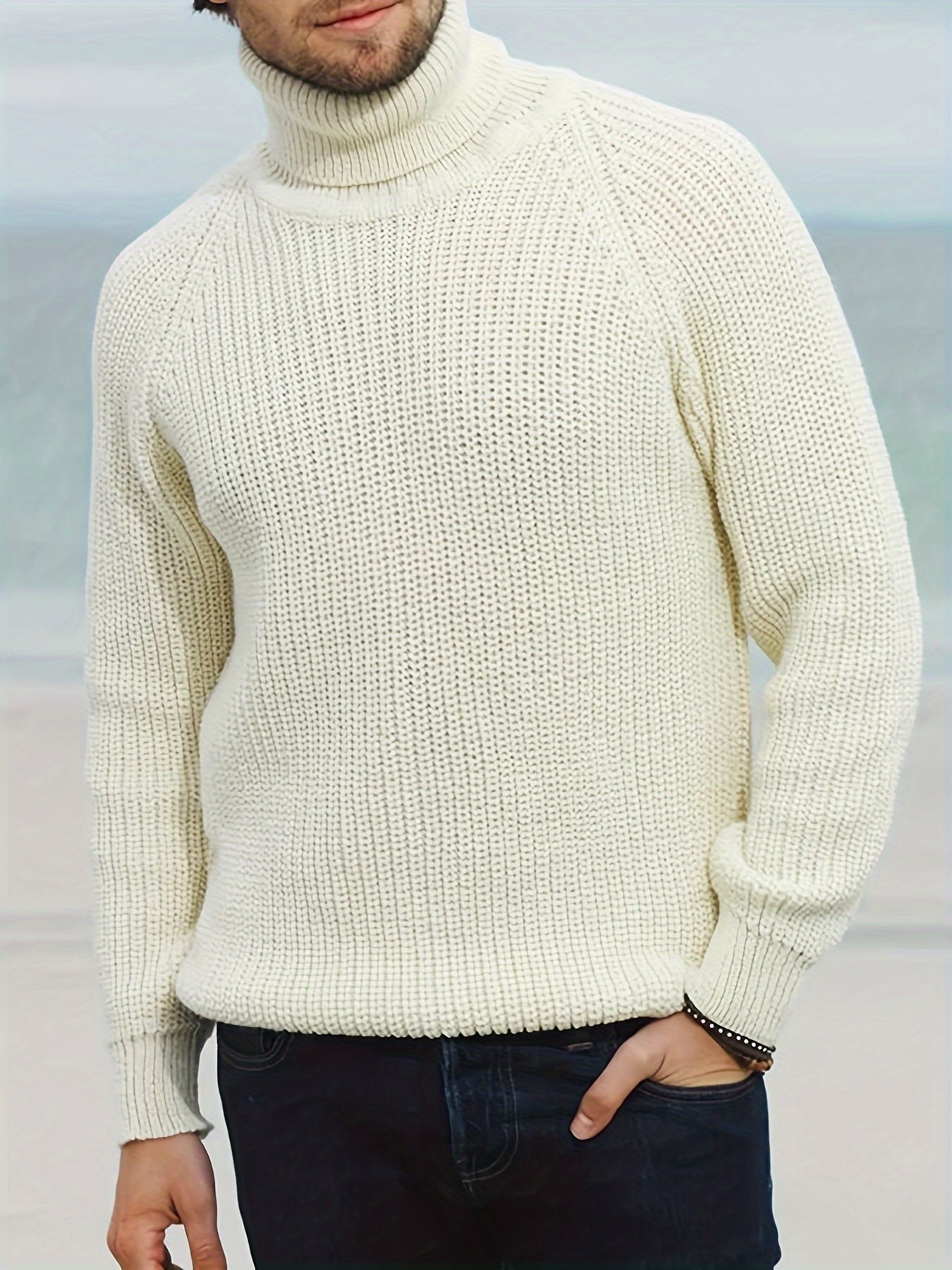 Men's chunky knit turtleneck sweater