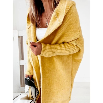 Winter hooded sweater for women